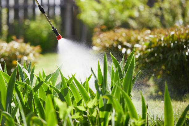 24/7 Emergency Ant Control experts in Havana, FL