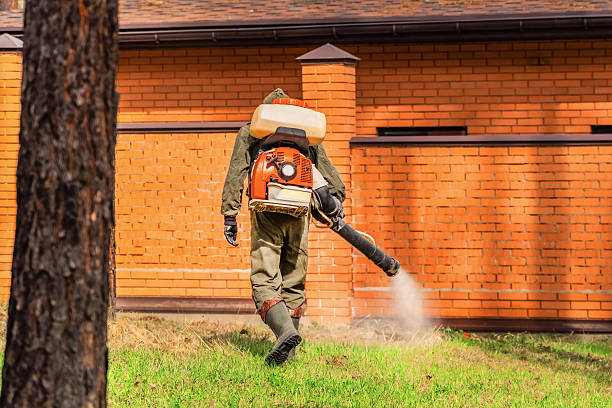 Trusted Ant Control service in Havana, FL - Nex Pest Control